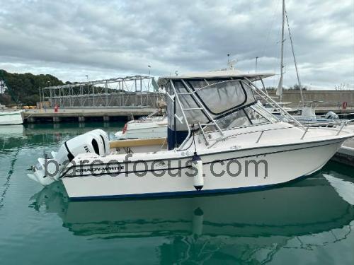 Grady White 265 Express avaliação e ficha técnica